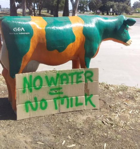 No Water No Milk