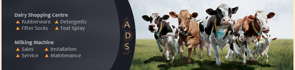 Advanced Dairy Systems